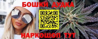 apvp Заводоуковск