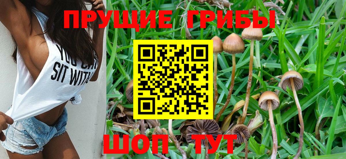 Галлюциногенные грибы Magic Shrooms Кунгур