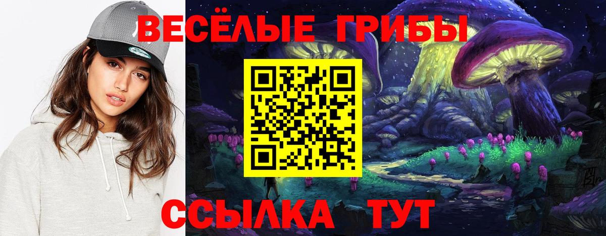 Галлюциногенные грибы Psilocybe  Вход с VPN  Кунгур  Галлюциногенные грибы ЛСД 